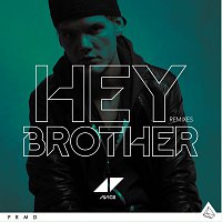 Avicii – Hey Brother [Remixes]