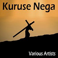 Různí interpreti – Kuruse Nega