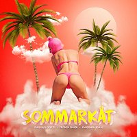 Přední strana obalu CD SOMMARKAT