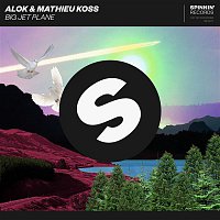 Alok & Mathieu Koss – Big Jet Plane