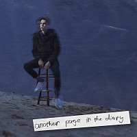 Přední strana obalu CD Another Page in the Diary