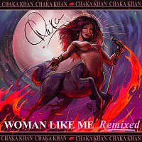 Chaka Khan – Woman Like Me [Terry Hunter Remix]