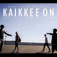 Kaikkee on (feat. Rosvo, Joosu J, Tommishock & 6maki)