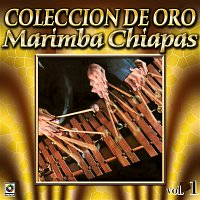 Marimba Chiapas – Colección De Oro, Vol. 1: El Bodeguero