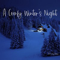 A Comfy Winter’s Night