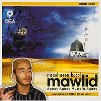 Muhammad Milad Raza Qadri – Nasheeds Of Mawlid