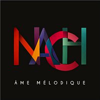NACH – Ame mélodique [Skydancers Remix]