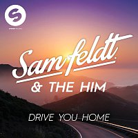 Sam Feldt, The Him, The Donnies The Amys – Drive You Home