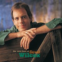 David Wilcox – The Very Best Of David Wilcox