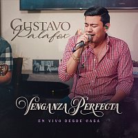 Gustavo Palafox – Venganza Perfecta [En Vivo Desde Casa]