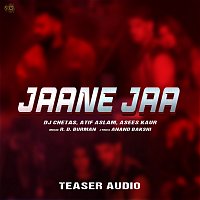 DJ Chetas, Atif Aslam, Asees Kaur – Jaane Jaa [Teaser]