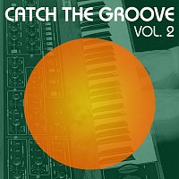 Různí interpreti – Catch The Groove, Vol. 2