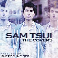 Sam Tsui & Kurt Schneider – The Covers