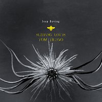 Joep Beving, Tom Trago – Sleeping Lotus [Tom Trago’s Sixtine Remix]