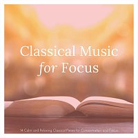 Chris Snelling, Nils Hahn, Max Arnald, Paula Kiete, Chris Snelling, Andrew O'Hara – Classical Music for Focus: 14 Calm and Relaxing Classical Pieces for Concentration and Focus