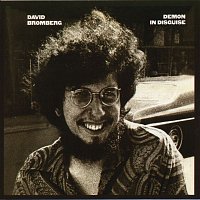 David Bromberg – Demon In Disguise