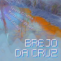 Teresa Cristina, Marcelinho Da Lua, Joao Callado – Brejo Da Cruz