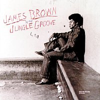 James Brown – In The Jungle Groove