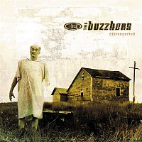 The Buzzhorn – Disconnected