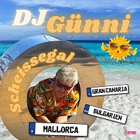 DJ Gunni – Scheissegal