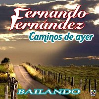 Fernando Fernandez – Caminos De Ayer