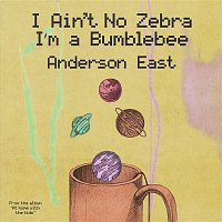 Anderson East – I Ain't No Zebra I'm a Bumblebee