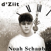 Noah Schaub – D’Ziit