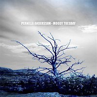 Pernilla Andersson – Moody Tuesday