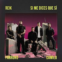 Reik, Farruko, Camilo – Si Me Dices Que Sí
