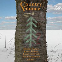 Různí interpreti – Country Vánoce