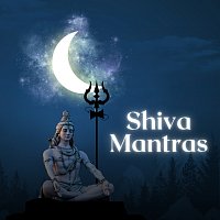 Různí interpreti – Shiva Mantras