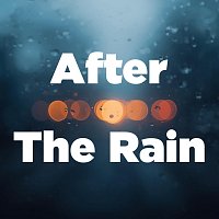 Přední strana obalu CD After the Rain