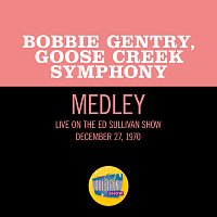 But I Can't Get Back/I'll Fly Away/Put A Little Love In Your Heart [Medley/Live On The Ed Sullivan Show, December 27, 1970]