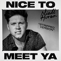 Niall Horan – Nice To Meet Ya [Stripped Version]