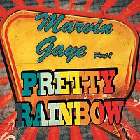 Marvin Gaye – Pretty Rainbow
