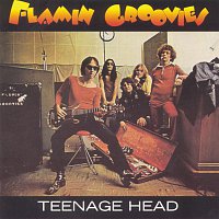 Flamin' Groovies – Teenage Head