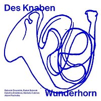 Přední strana obalu CD Mahler: Des Knaben Wunderhorn