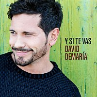 David DeMaría – Y si te vas