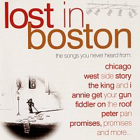 Různí interpreti – Lost In Boston, Vol. 1