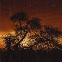 Přední strana obalu CD Wsst Lil