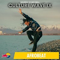 Přední strana obalu CD Culture Wave IX