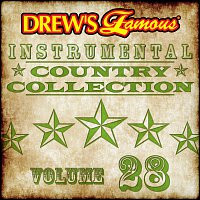 Přední strana obalu CD Drew's Famous Instrumental Country Collection [Vol. 28]
