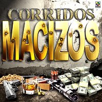 Různí interpreti – Corridos Macizos