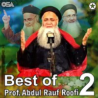 Prof. Abdul Rauf Roofi – Best Of Prof. Abdul Rauf Roofi, Pt. 2, Vol. 25