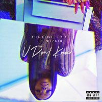 Justine Skye, Wizkid – U Don’t Know
