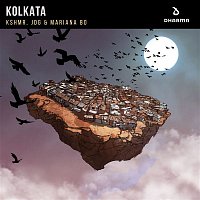 KSHMR, JDG, & Mariana BO – Kolkata