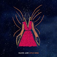 Valerie June – Little Wing