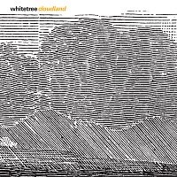 Whitetree – Cloudland