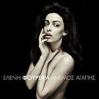 Přední strana obalu CD Anemos Agapis