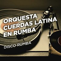 Disco Rumba
